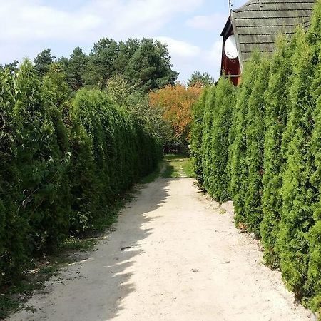 Wyspa Kampinos Brochow Bagian luar foto