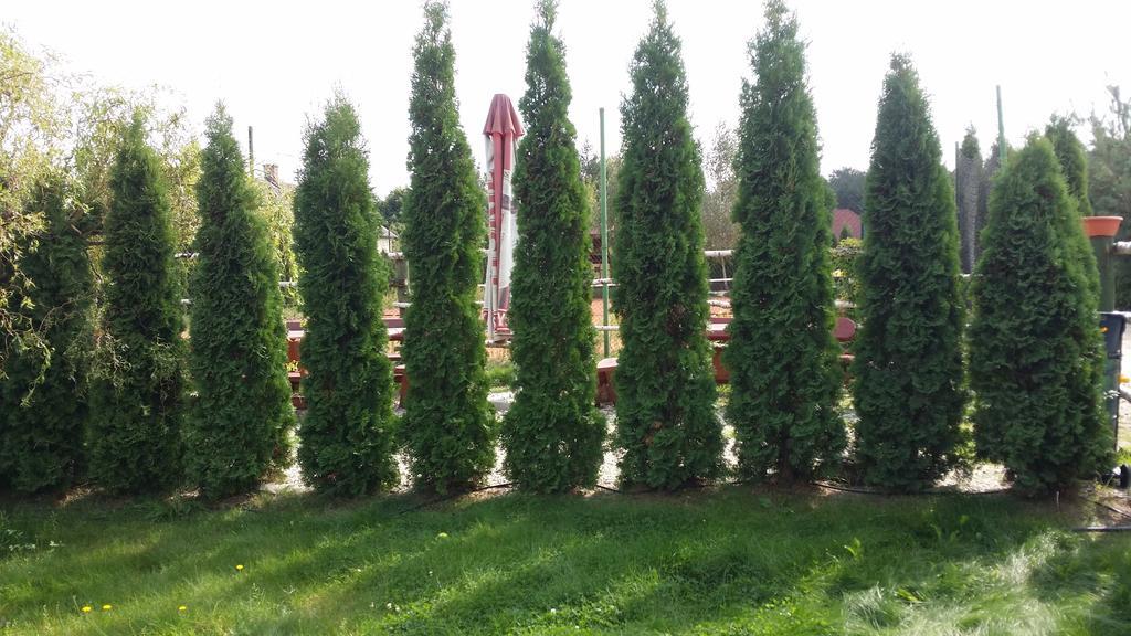 Wyspa Kampinos Brochow Bagian luar foto