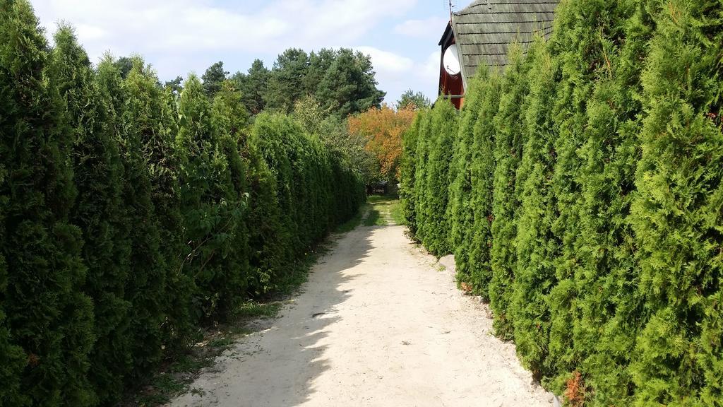Wyspa Kampinos Brochow Bagian luar foto